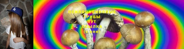 СК Абдулино