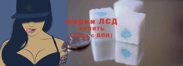 СК Абдулино
