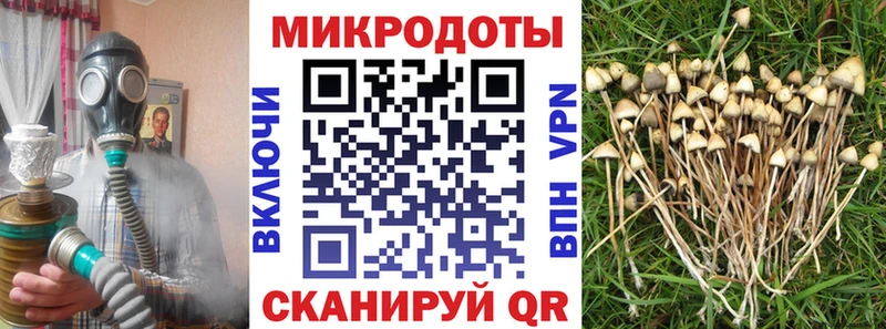 Галлюциногенные грибы мухоморы  Нальчик 